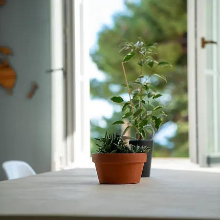 Luxury Equanimity